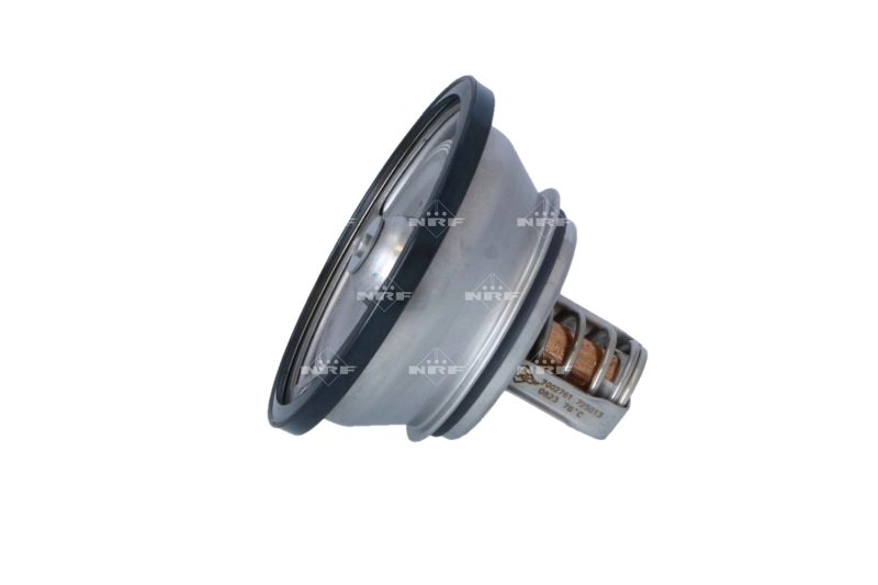 7421746213 Renault (RVI) Termostato
