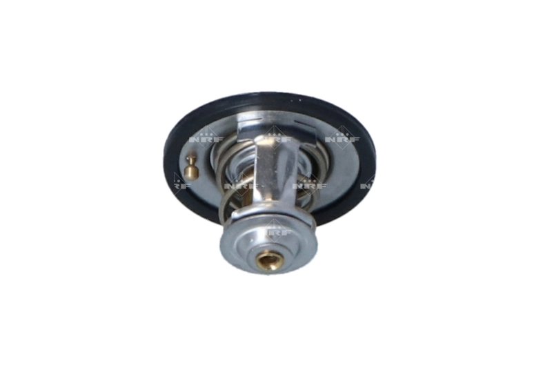 4674169 Fiat/Alfa/Lancia Termostato
