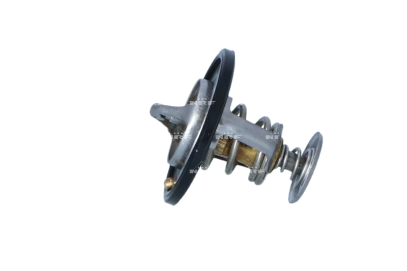 93180077 General Motors Termostato