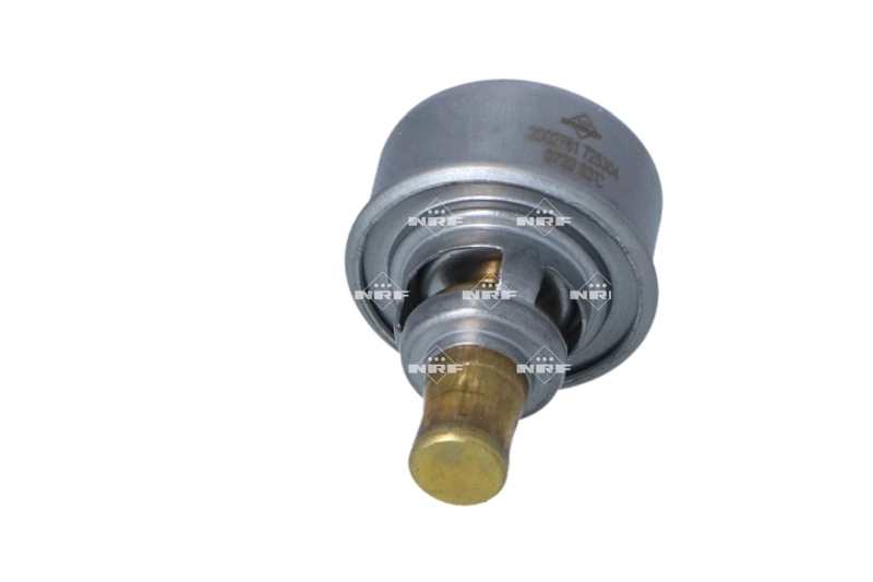 Termostato 522328 DAF