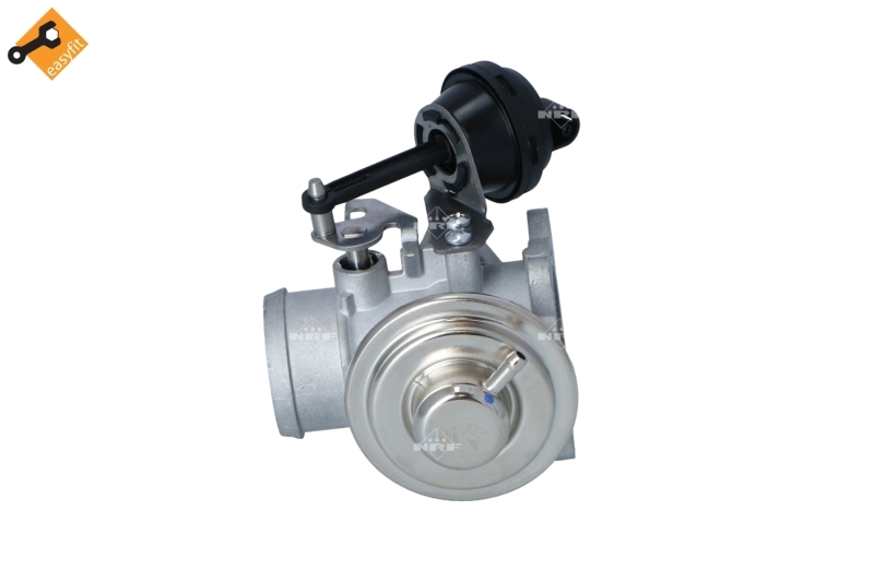 Comprar  Caddy II 9U7