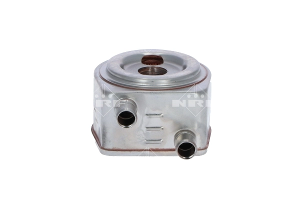 Compre 31246 NRF Radiador de óleo (frigorífico), debaixo de filtro