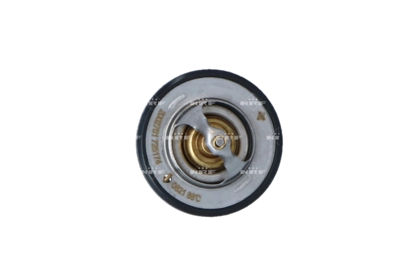 30577561 General Motors Termostato