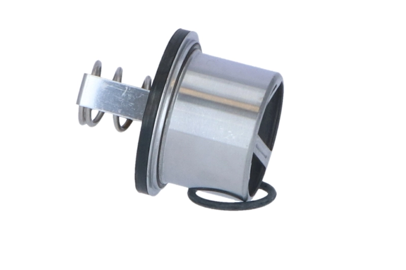 Compre 5010553100 Renault (RVI) Termostato
