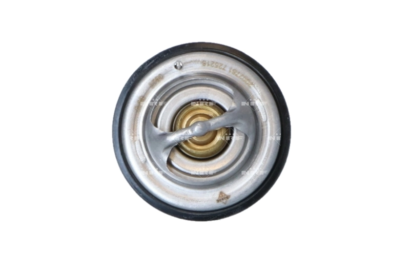 Termostato MAN TGX   ao melhor preço