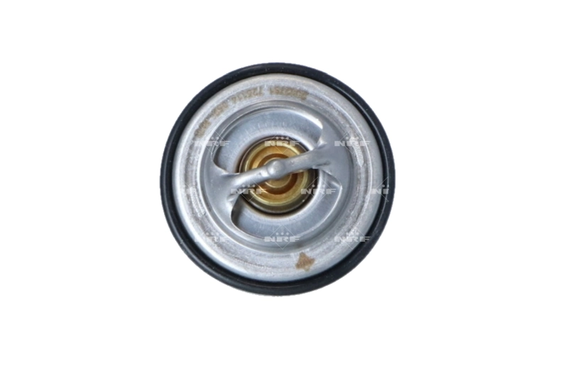 Compre Termostato Renault 18 