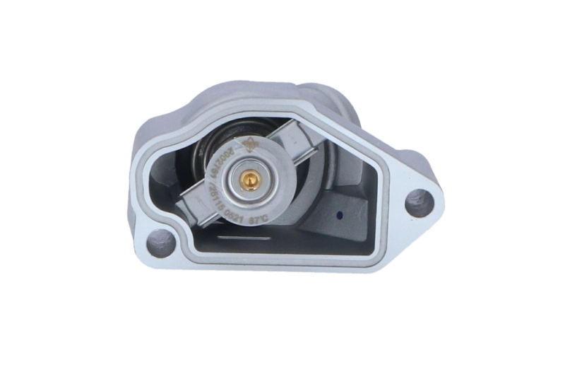 Termostato para Opel Frontera 6B