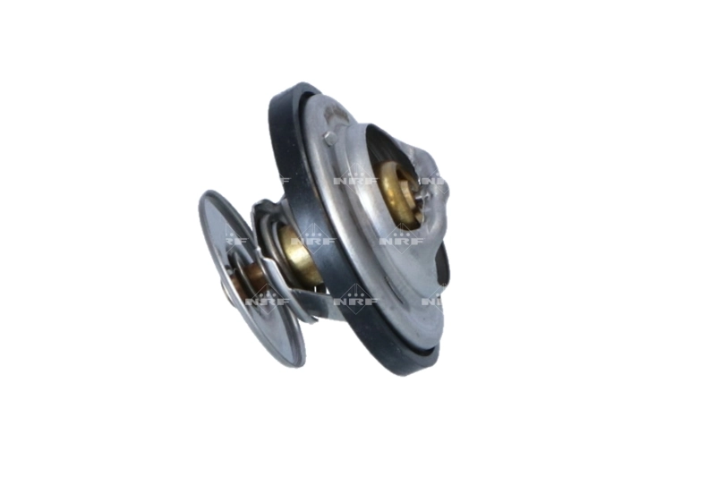 Termostato para MAN TGX I 