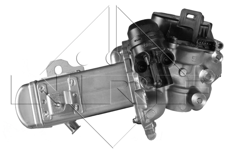 Compre 571822112248 Magneti Marelli Válvula EGR de recirculação dos gases