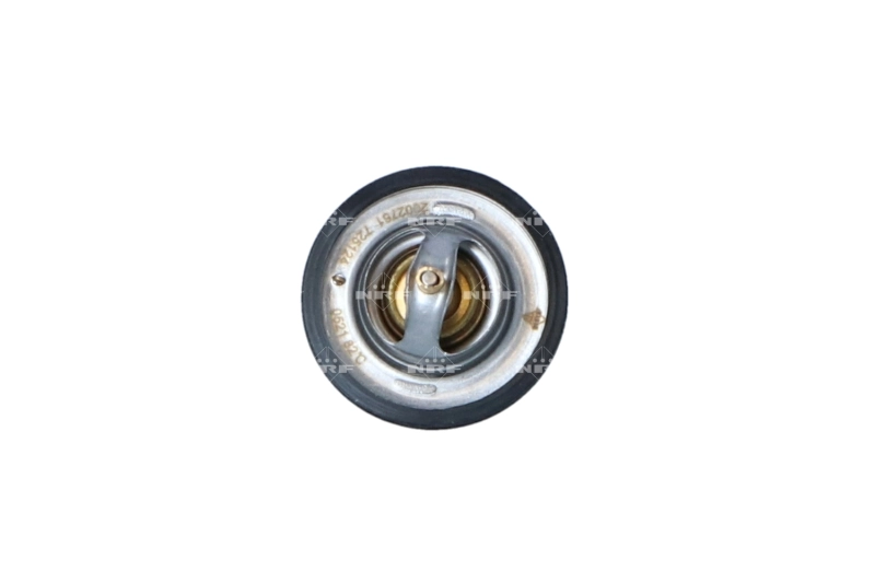 Termostato para Fiat Ducato 290