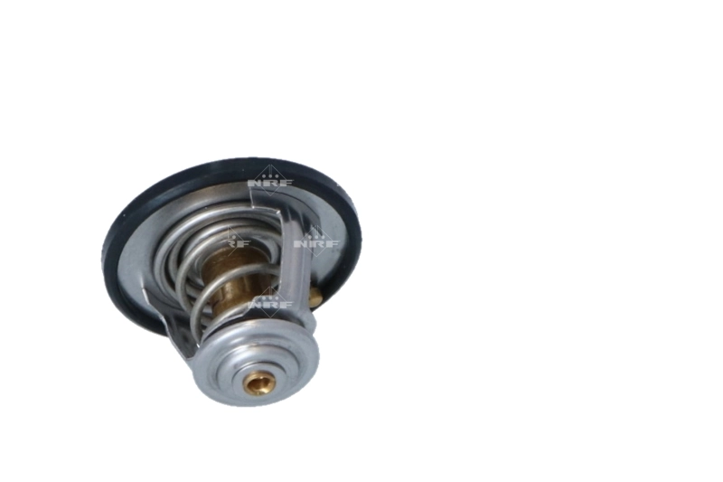Compre 30577561 General Motors Termostato