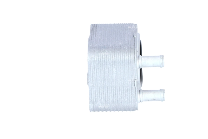 Compre 31168 NRF Radiador de óleo (frigorífico), debaixo de filtro