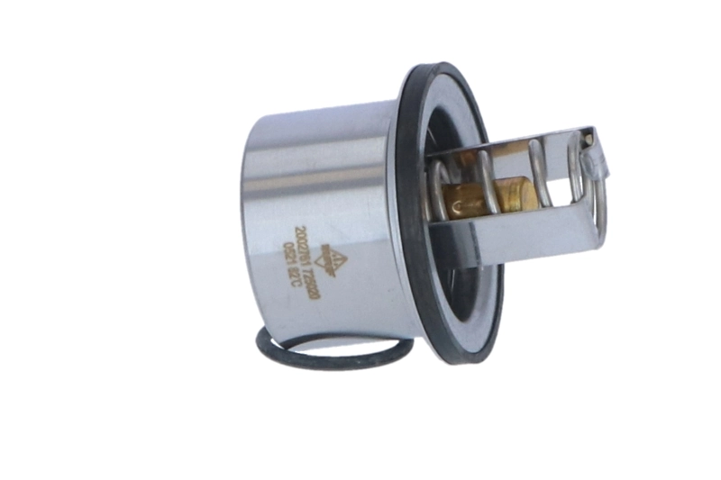 Termostato Renault (RVI) 5010553100