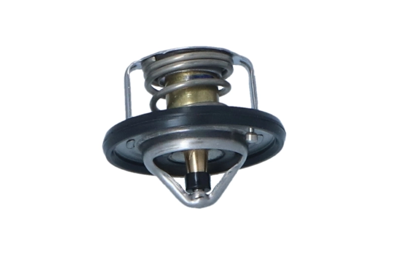 Compre 725208 NRF Termostato