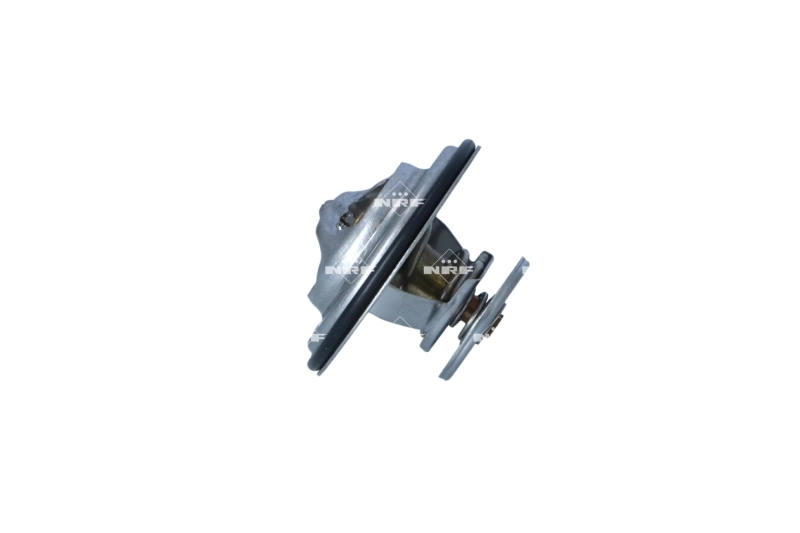 Termostato para BMW 3  E21
