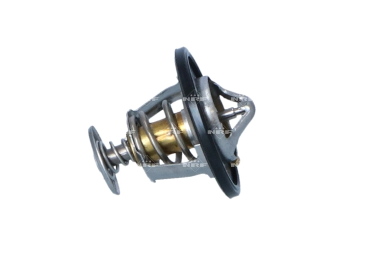 Compre 93180077 General Motors Termostato