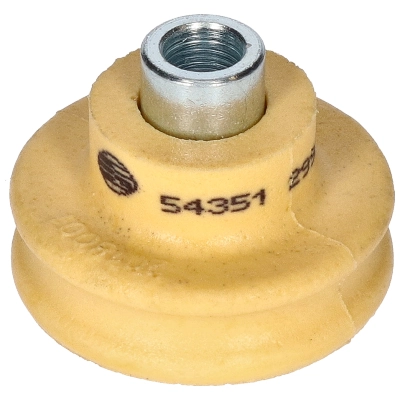 54351 Birth