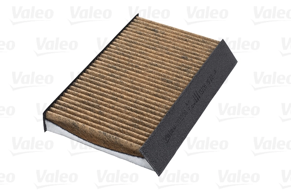 701006 VALEO Filtro de salão