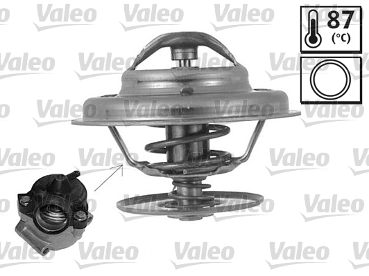 819873 VALEO