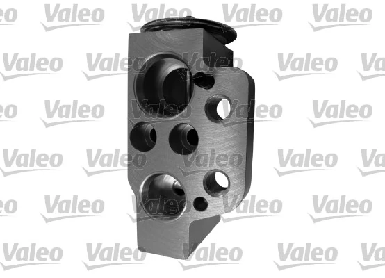 509901 VALEO