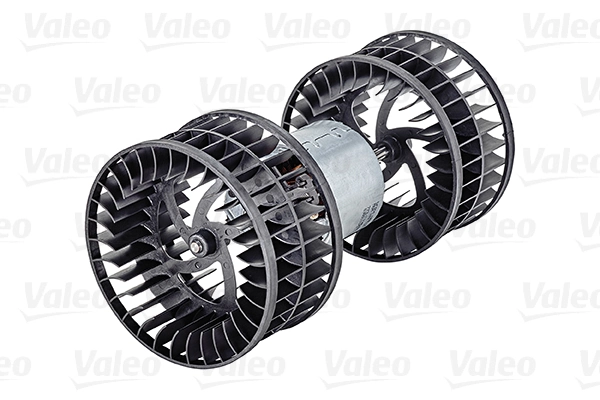 698438 VALEO