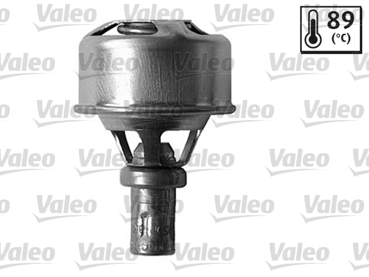 819924 VALEO