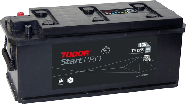 TG1355 Tudor