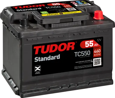 TC550 Exide Bateria recarregável (PILHA)