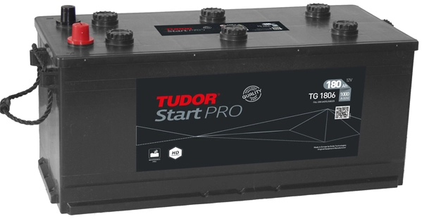 TG1806 Exide Bateria recarregável (PILHA)
