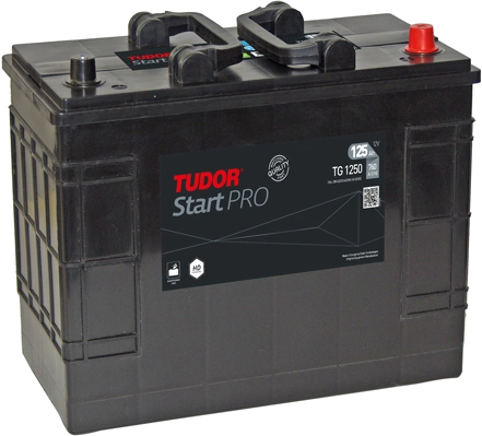 TF1250 Tudor Bateria recarregável (PILHA)