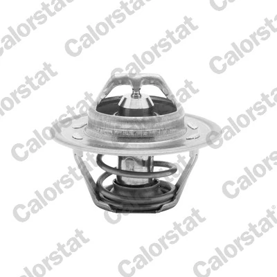 Termostato Ford Fiesta IV JAS, JBS ao melhor preço