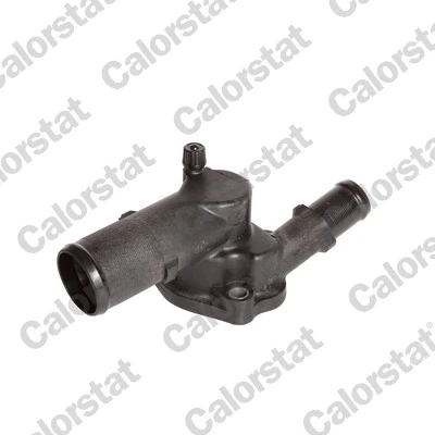 Termostato Renault Clio  LB0, LB1, LB2 ao melhor preço