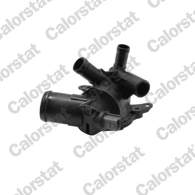 110617250R Renault (RVI) Termostato