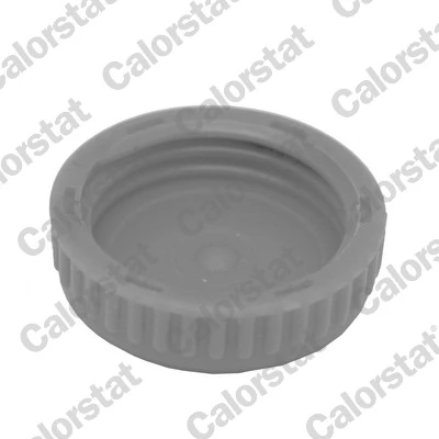  Tampa (tampão) do tanque de expansão Nissan Almera II hatchback (N16) (2000 - 2006) II