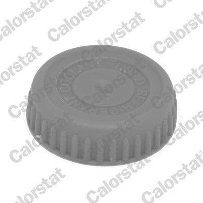 Tampa (tampão) do tanque de expansão para Nissan Almera N16