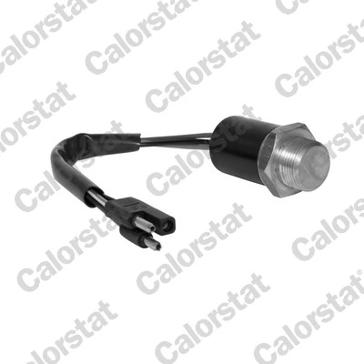 Compre Sensor de temperatura do fluido de esfriamento (de ativação de ventilador do radiador) Fiat Ducato 1