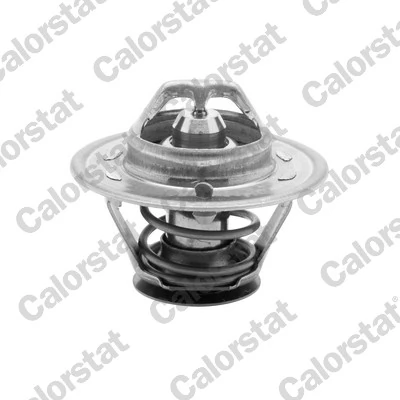 Termostato para Renault Master T