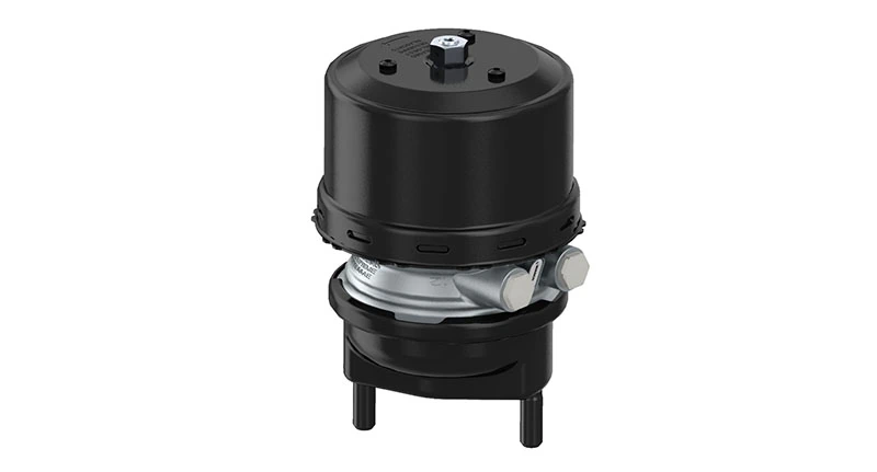 Compre A020420601864 Mercedes Câmara do freio (Acumulador de energia)