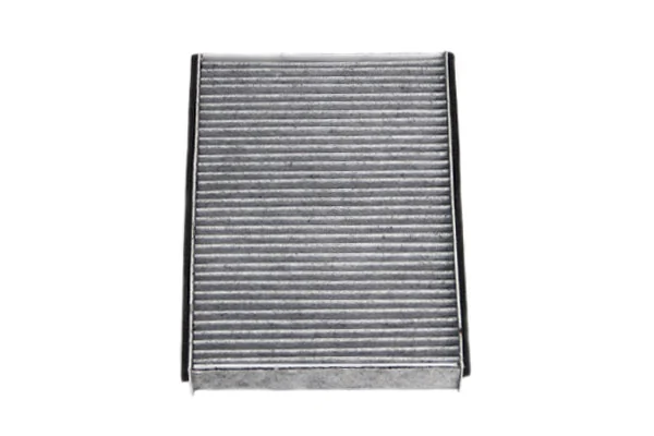 Filtro de salão Citroen C4 RUSSIA B73