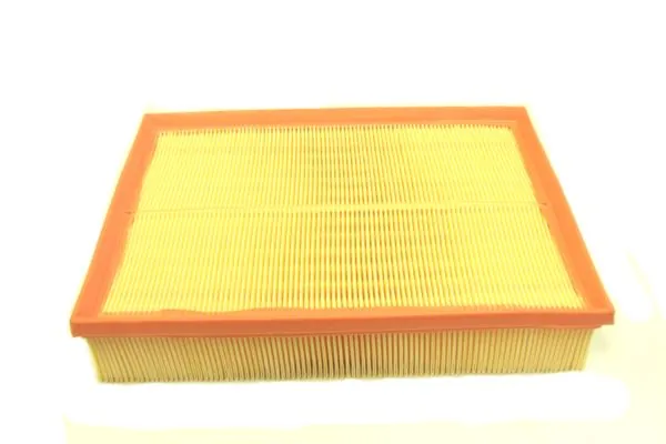 Filtro de ar para Land Rover Discovery IV L319