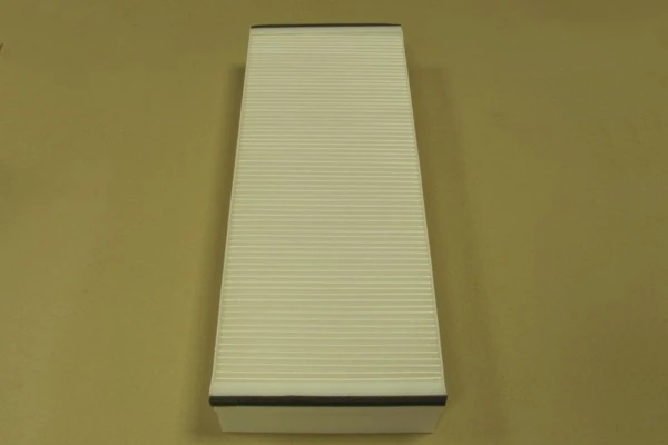 Filtro de salão para MAN TGX I 