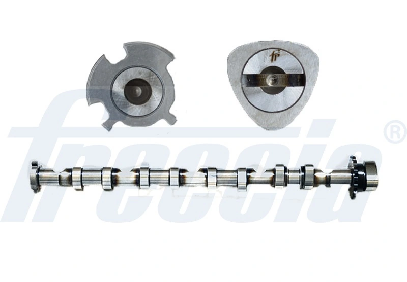 CM052246 Freccia