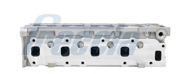 Cabeça de motor (CBC) Opel 55206386