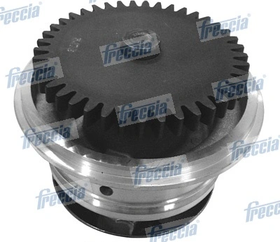 WP0295 Freccia