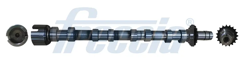CM052374 Freccia