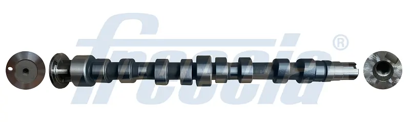 CM052324 Freccia