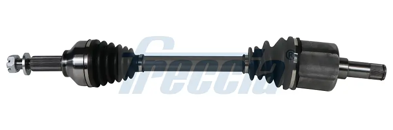 DS161009 Freccia