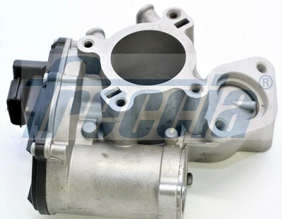 EGR12200 Freccia
