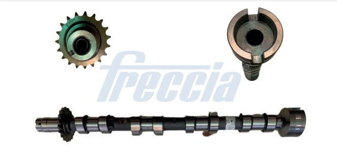 CM052361 Freccia