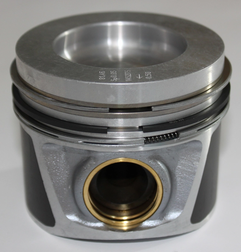 PI004100 Ipsa